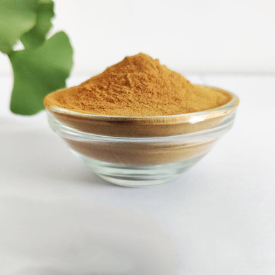 El Ginkgo natural Biloba extrae 24/6 polvo para el suplemento dietético